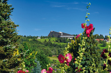 IFA Schöneck Hotel & Ferienpark: Buitenaanzicht