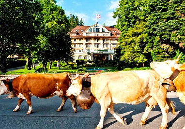 Le Grand Bellevue: Außenansicht