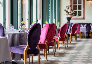 Romantik Hotel Landschloss Fasanerie: Tagungsraum