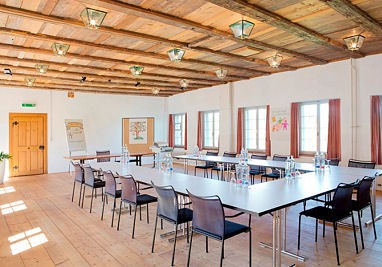 Greuterhof Islikon: Sala de conferencia