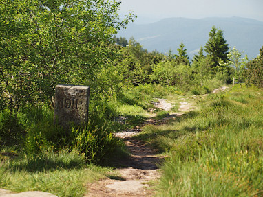 Wellness- und Nationalpark-Hotel Schliffkopf: Freizeit