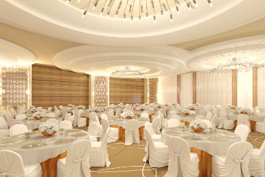 Mövenpick Hotel du Lac Tunis: Salle de réunion