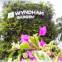 Wyndham Garden Guayaquil