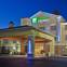 Holiday Inn Express SAVANNAH AIRPORT