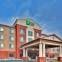 Holiday Inn Express & Suites DEWITT (SYRACUSE)